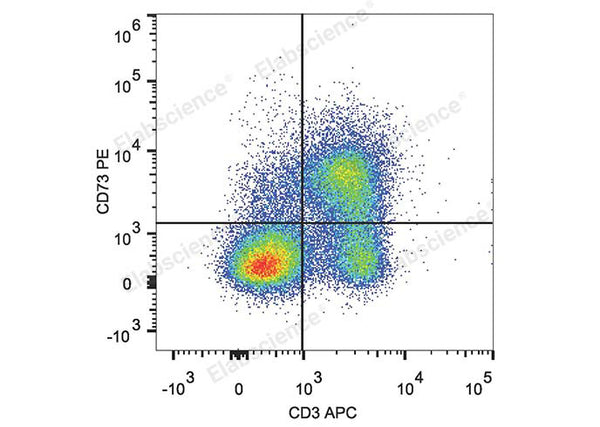 PE Anti-Mouse CD73 Antibody[TY/23] – Figure 1 of 2