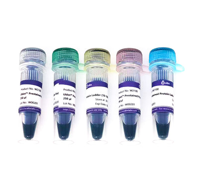 U-Blot® Prestained Protein Ladder (10-180 kDa) – Figure 1 of 3