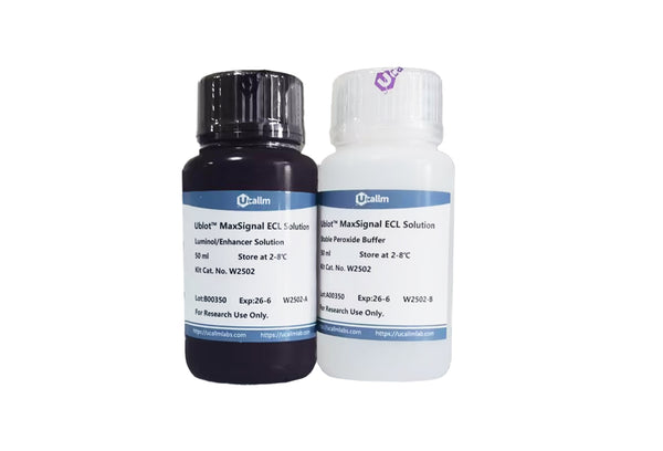 U-Blot® Femto-Sensitive ECL Solution – Figure 1 of 1