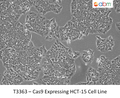 Cas9 Expressing HCT-15 Cell Line | Applied Biological Materials (abm)