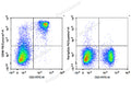 PE/Cyanine7 Anti-Mouse CD90 Antibody[M5/49.4.1] – Figure 1 of 2