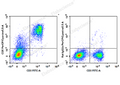 PerCP/Cyanine5.5 Anti-Mouse CD5 Antibody[53-7.3] – Figure 1 of 2