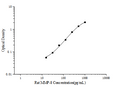 Rat MMP-8 (Matrix Metalloproteinase 8) ELISA Kit – Figure 1 of 3