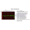 U-Blot® ATP5A Rabbit Monoclonal Antibody – Figure 1 of 2