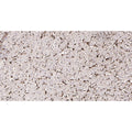 U-Blot® Iba1 Rabbit Monoclonal Antibody – Figure 1 of 3