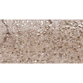 U-Blot® GFAP Rabbit Monoclonal Antibody – Figure 1 of 5