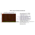 U-Blot® Histone H3 (Di Methyl Lys4) Rabbit Monoclonal Antibody – Figure 1 of 2