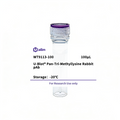 U-Blot® Pan-Tri-Methyllysine Rabbit pAb (peptide immunogen) – Figure 1 of 1