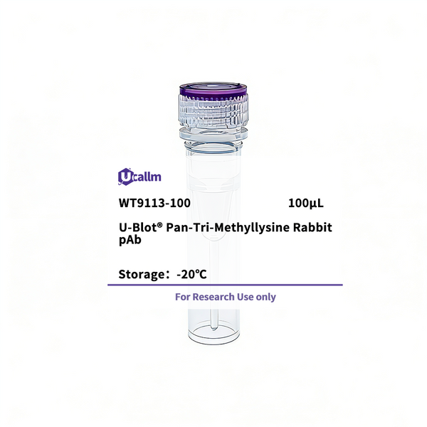 U-Blot® Pan-Tri-Methyllysine Rabbit pAb (peptide immunogen) – Figure 1 of 1