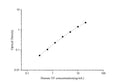 Uncoated Human VF (Visfatin) ELISA Kit – Figure 1 of 4
