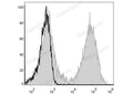 FITC Anti-Mouse MHC II (I-A/I-E) Antibody[M5/114] – Figure 1 of 2