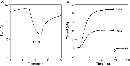 XE991 – Figure 1 of 2