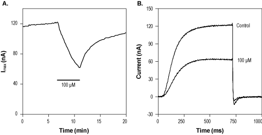 XE991 dihydrochloride – Figure 1 of 2