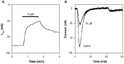 XEN907 – Figure 1 of 2
