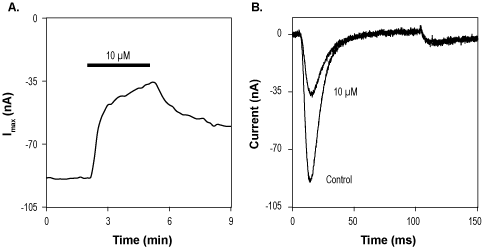 XEN907 – Figure 1 of 2