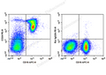 PE Anti-Mouse CD24 Antibody[M1/69] – Figure 1 of 2
