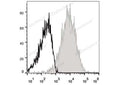APC Anti-Mouse CD54 Antibody[YN1/1.7.4] – Figure 1 of 2