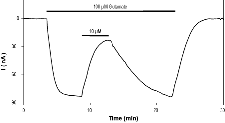 YM 90K hydrochloride – Figure 1 of 2