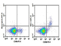 Purified Anti-Mouse CD161/NK1.1 Antibody[PK136] – Figure 1 of 2