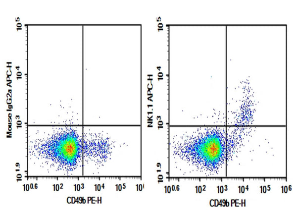 Purified Anti-Mouse CD161/NK1.1 Antibody[PK136] – Figure 1 of 2