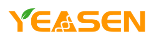 Yeasen Biotechnology