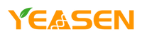 Yeasen Biotechnology