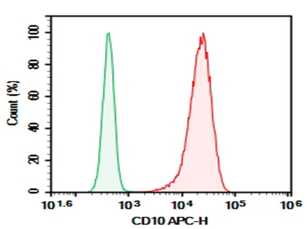 Purified Anti-Human CD10 Antibody[CB-CALLA] – Figure 1 of 2