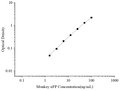 Uncoated Monkey αFP (Alpha-Fetoprotein) ELISA Kit – Figure 1 of 4