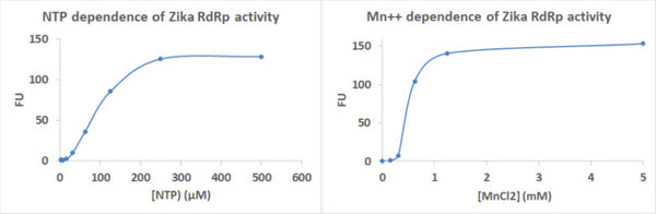 Zika Virus RNA-dependent RNA Polymerase Assay Kit Plus – Figure 1 of 1