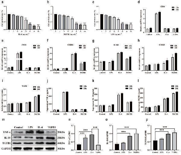 Anti-TNF alpha Antibody Picoband®