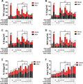 Anti-IL10 Antibody