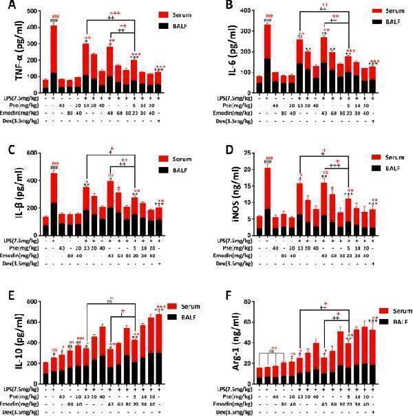 Anti-IL10 Antibody