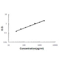 Sandwich ELISA - Recombinant mouse Interferon gamma protein standard curve.

Use in combination with reagents from Mouse Interferon gamma ELISA Kit EZ-Set (DIY Antibody Pairs) (EZ0375).