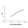 Sandwich ELISA - Recombinant mouse Lipocalin 2 protein standard curve.

Use in combination with reagents from Mouse Lipocalin 2 ELISA Kit EZ-Set (DIY Antibody Pairs) (EZ0854).