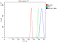 Anti-Bid Antibody Picoband®