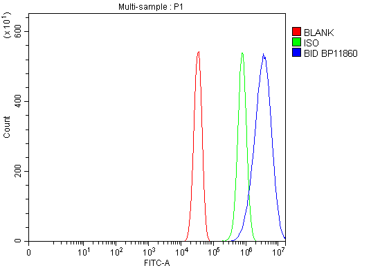 Anti-Bid Antibody Picoband®