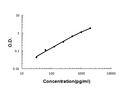 Sandwich ELISA - Recombinant human FGF21 protein standard curve.

Use in combination with reagents from Human FGF21 ELISA Kit EZ-Set (DIY Antibody Pairs) (EZ0994).