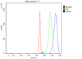 Anti-ASXL1 Antibody Picoband®