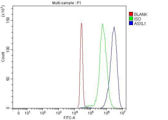 Anti-ASXL1 Antibody Picoband®