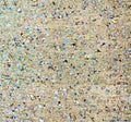 Anti-Neuropeptide S/NPS Antibody
