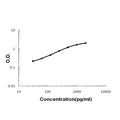 Sandwich ELISA - Recombinant mouse Tff1 protein standard curve.

Use in combination with reagents from Mouse Tff1 ELISA Kit EZ-Set (DIY Antibody Pairs) (EZ1620).