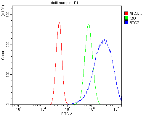 Anti-BTG2 Antibody Picoband®