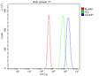 Anti-IQGAP1 Antibody Picoband®