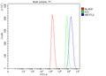Anti-METTL3 Antibody Picoband®