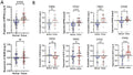 Anti-GLB1/Beta-galactosidase Antibody Picoband®