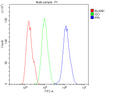 Anti-Periplakin/PPL Antibody Picoband®