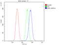 Anti-EHD1 Antibody Picoband®