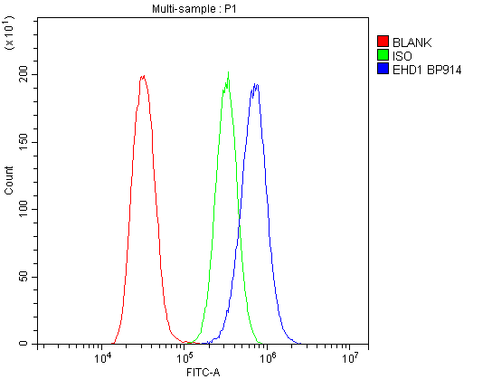 Anti-EHD1 Antibody Picoband®