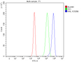 Anti-HAL Antibody Picoband®