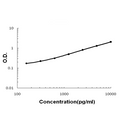 Sandwich ELISA - Recombinant Rat HE4 protein standard curve.

Use in combination with reagents from Rat HE4 ELISA Kit EZ-Set (DIY Antibody Pairs) (EZ1624).